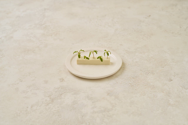 ハーブやっこ || herbed cold tofu