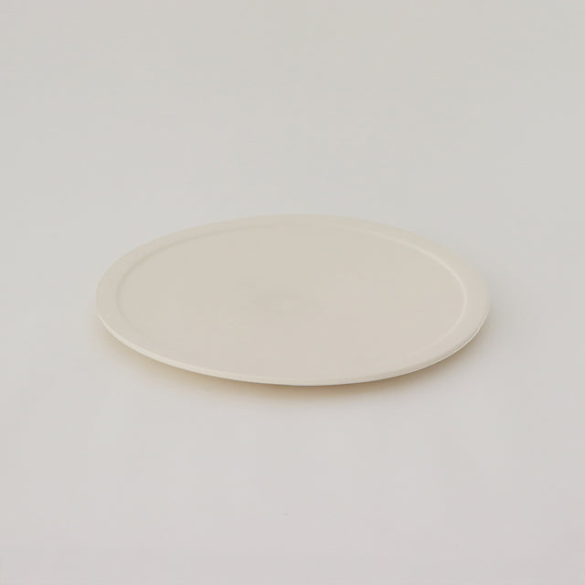 large plate 1