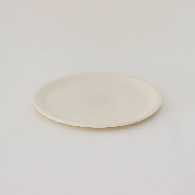 large plate 2