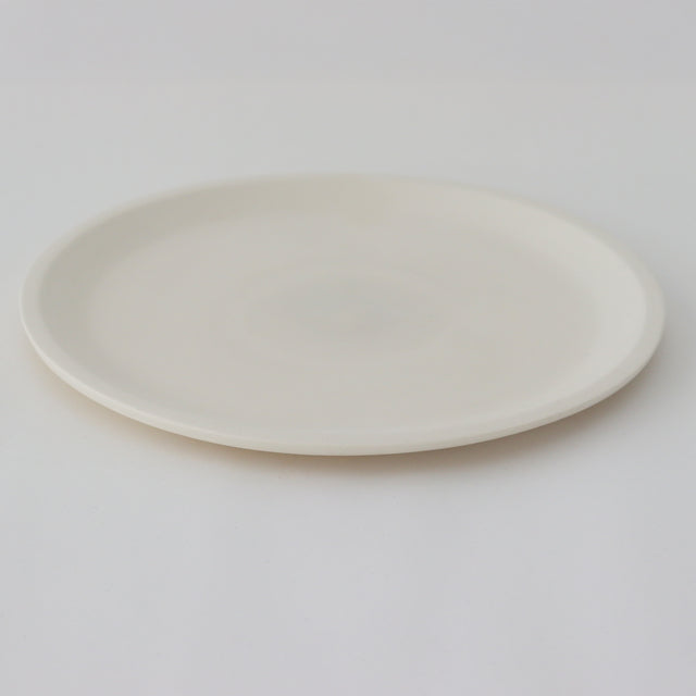 large plate 2